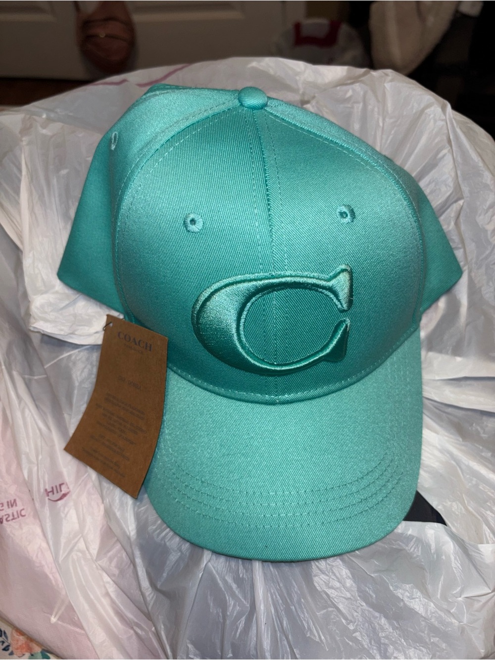 Coach womens' Teal Embroidered